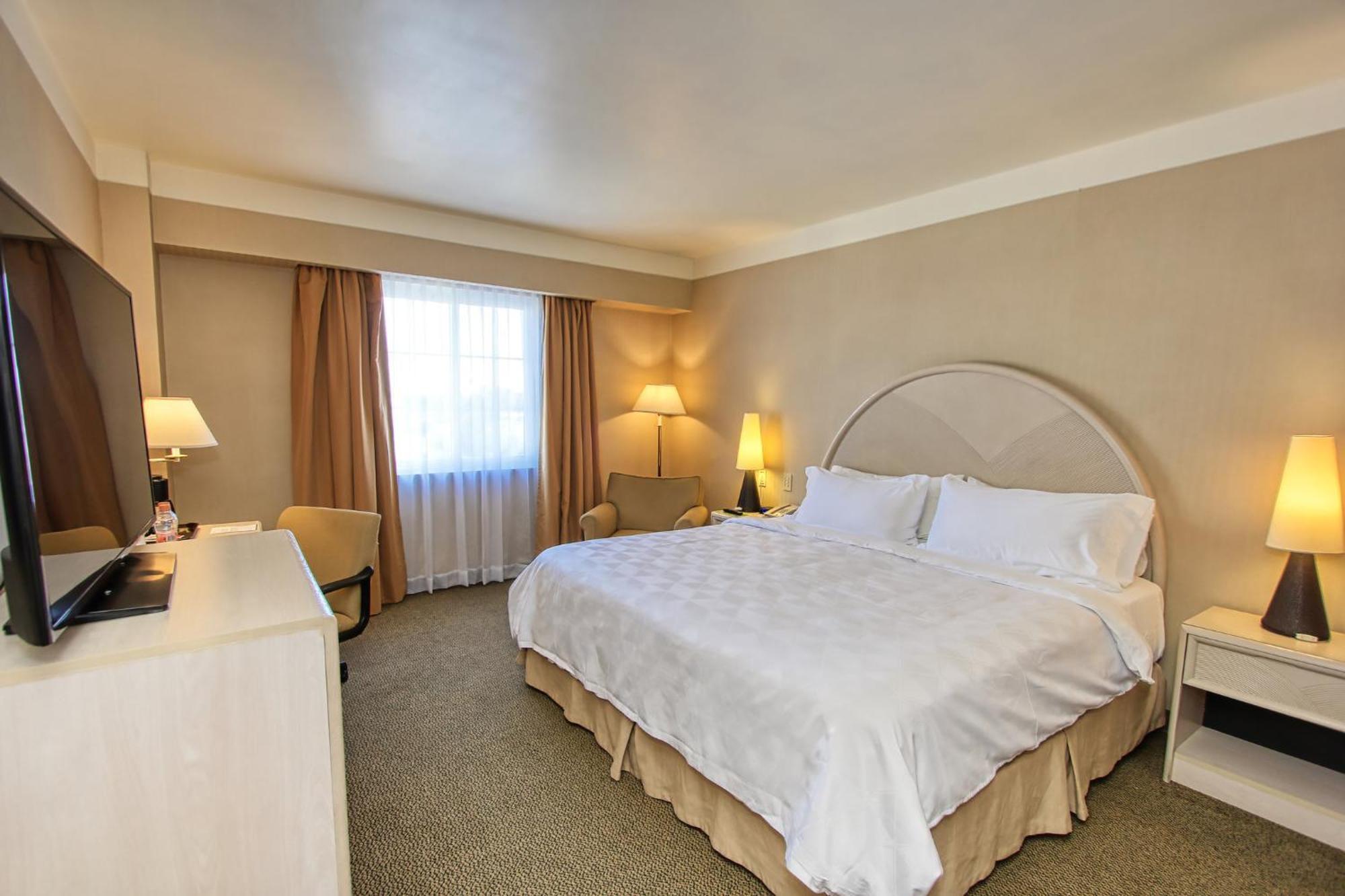 Holiday Inn Leon-Convention Center By Ihg Экстерьер фото
